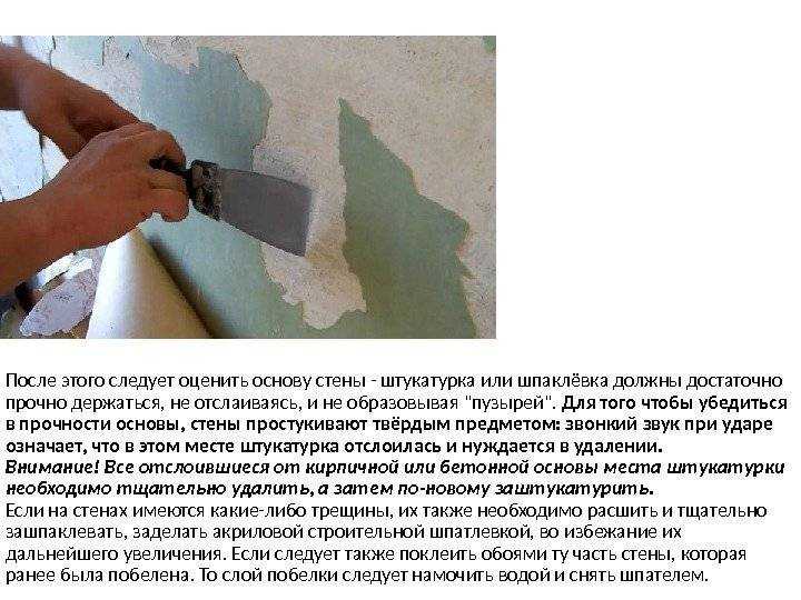 Как правильно шпаклевать стены: пошаговая инструкция с фото