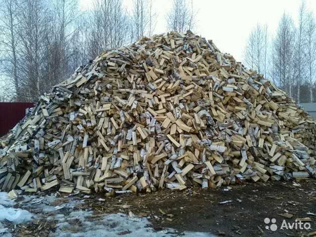 Какие дрова лучшие для топки печки: разновидности и свойства дров, плюсы и минусы, способы хранения