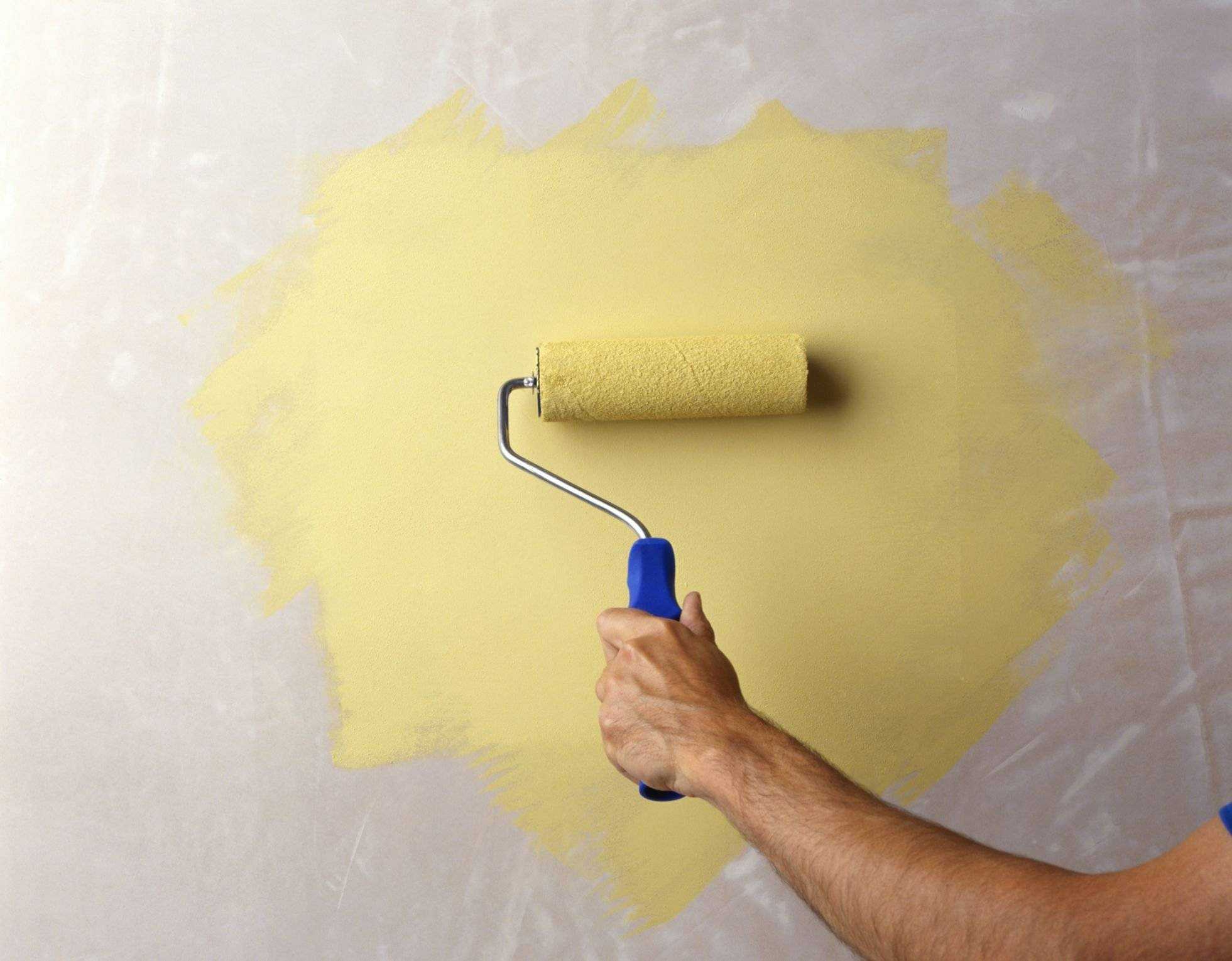 Нужно ли грунтовать стены перед покраской – ответы профессиональных маляров