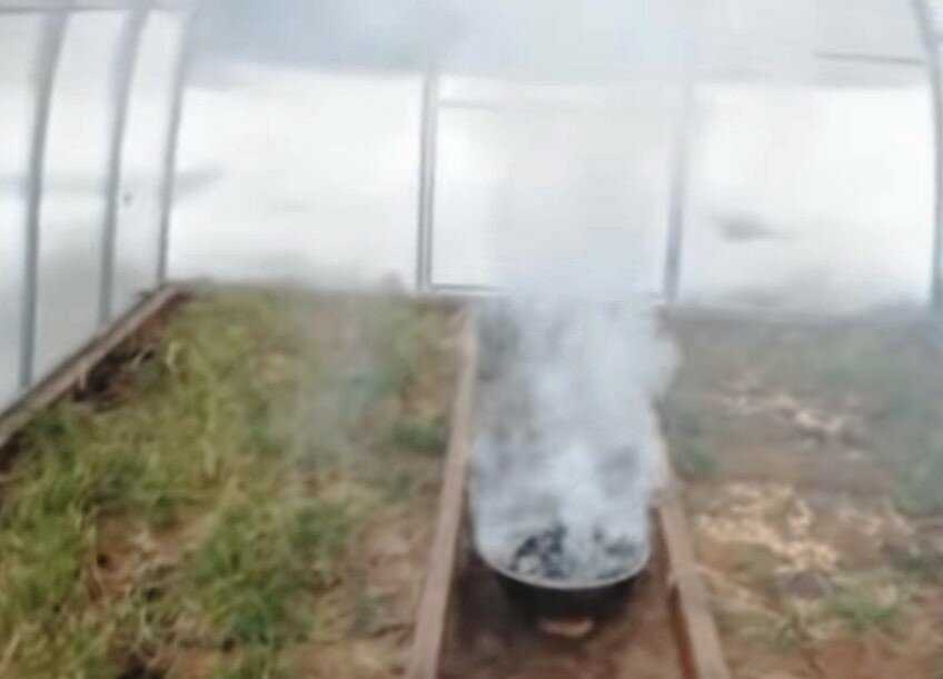 Табачная (дымовая) шашка для теплицы из поликарбоната: как и когда использовать для обработки