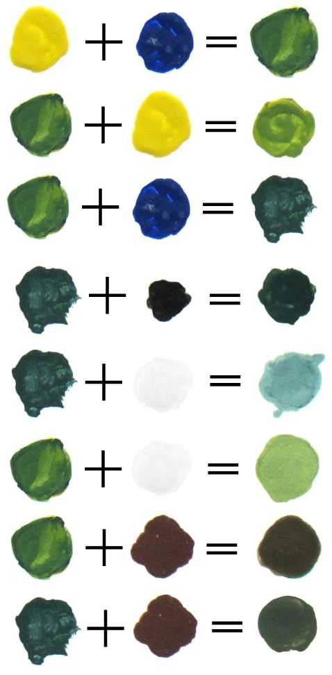 Как получить зеленый цвет краски — таблица смешивания, какой колер нужно добавить чтобы получить светлый или темный оттенок Как сделать своими руками зеленую краску, нюансы получения салатового или болотного оттенков