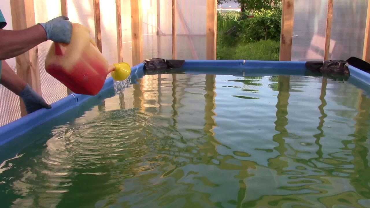 Вопрос безопасности, или сколько перекиси водорода добавлять в бассейн. очистка бассейна перекисью водорода