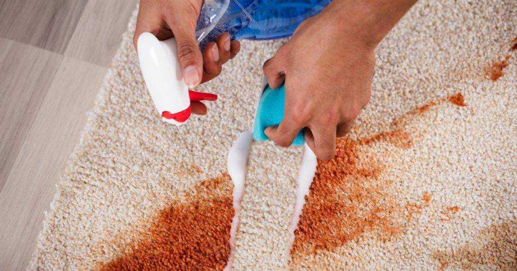 5 способов освежить ковролин в домашних условиях