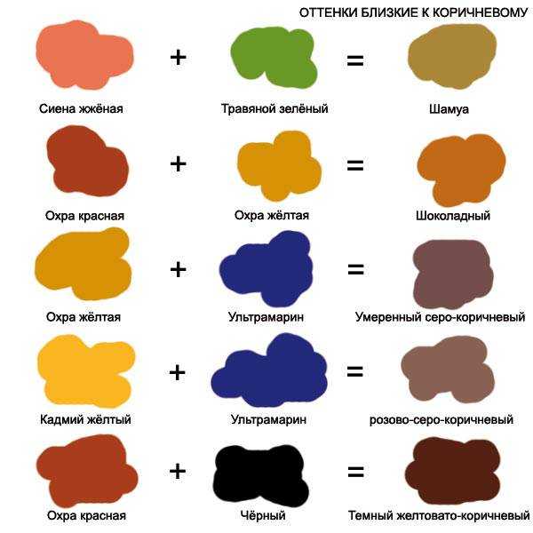 Как получить бежевый цвет при смешивании красок для окраски стен