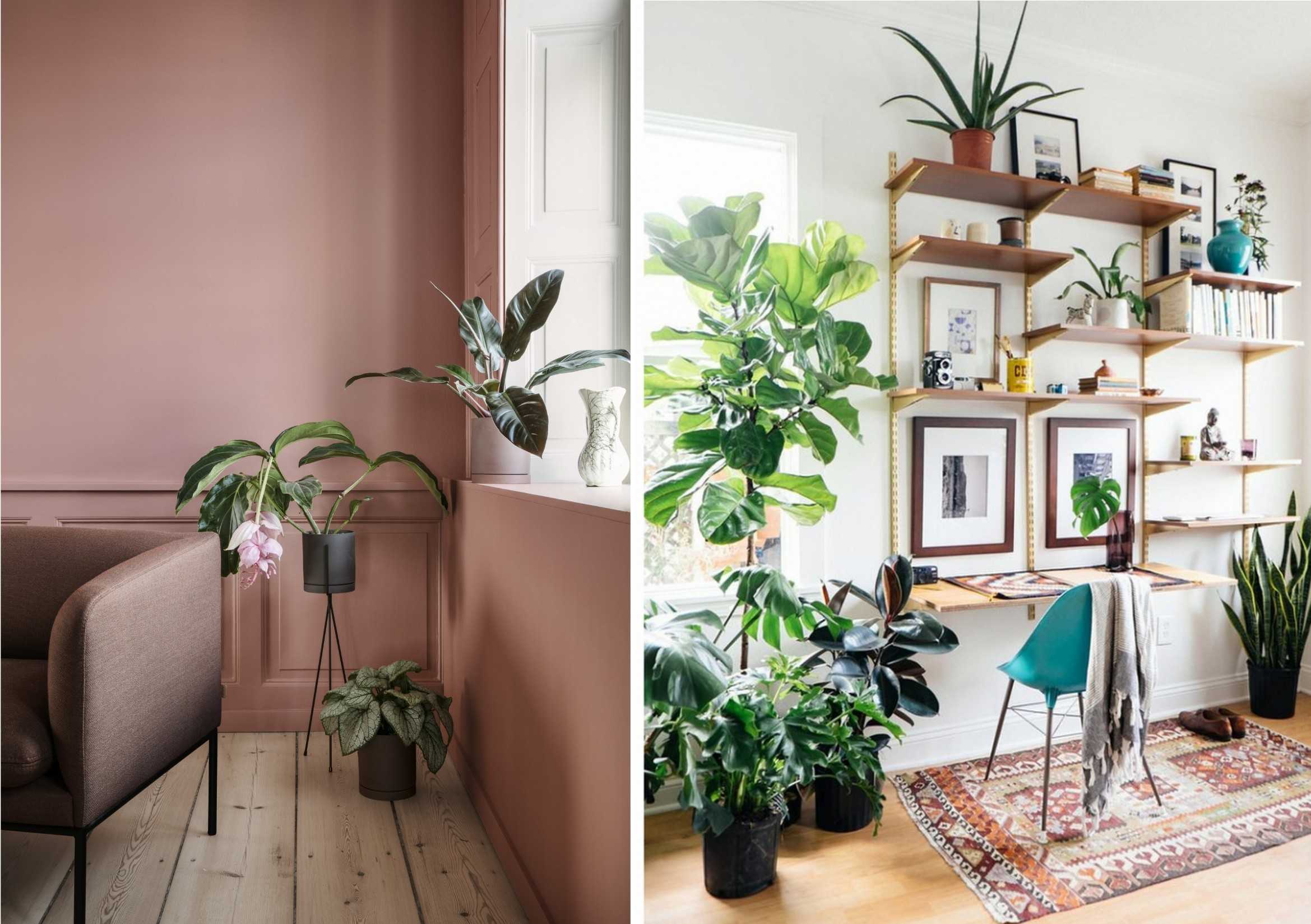 Как сделать вертикальное озеленение в квартире своими руками — растения, оборудование и установка