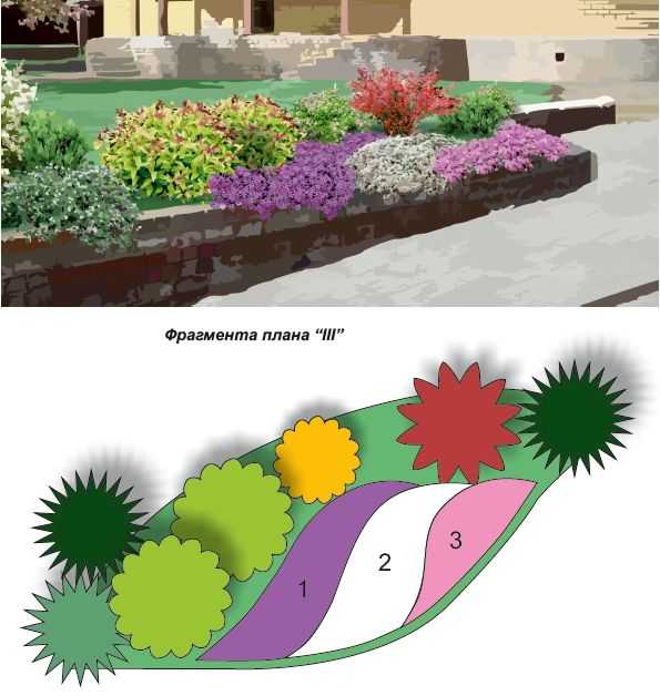 Ковровая клумба эскиз