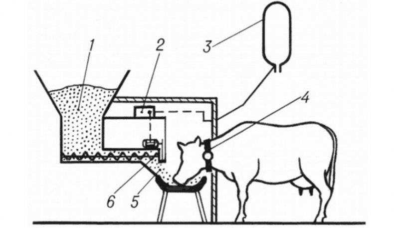Кормушка для коров своими руками - тонкости изготовления, полезные советы