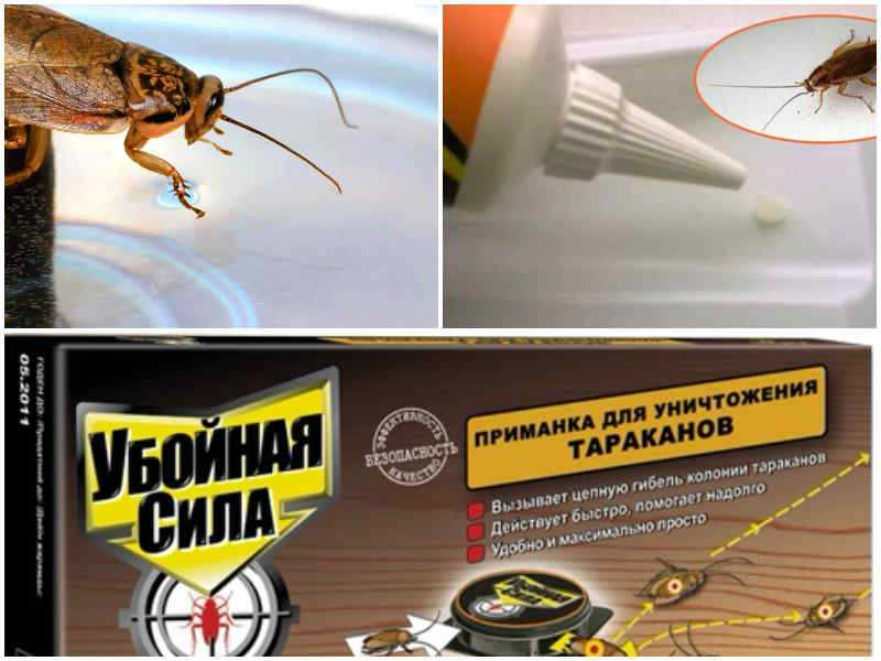 20 народных рецептов – как вывести тараканов навсегда в домашних условиях, своими руками самостоятельно. миссия – избавиться за 1 день