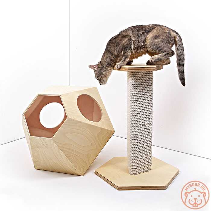 Когтеточки для кошек: размеры разных видов дряпок и пошаговые инструкции по их изготовлению своими руками