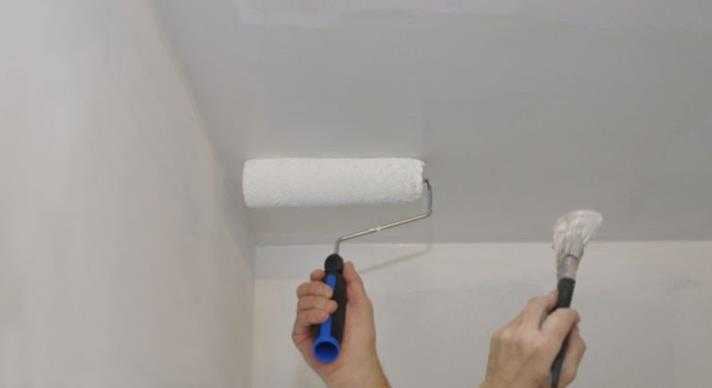 Применение краски водоэмульсионной для стен и внутренних работ