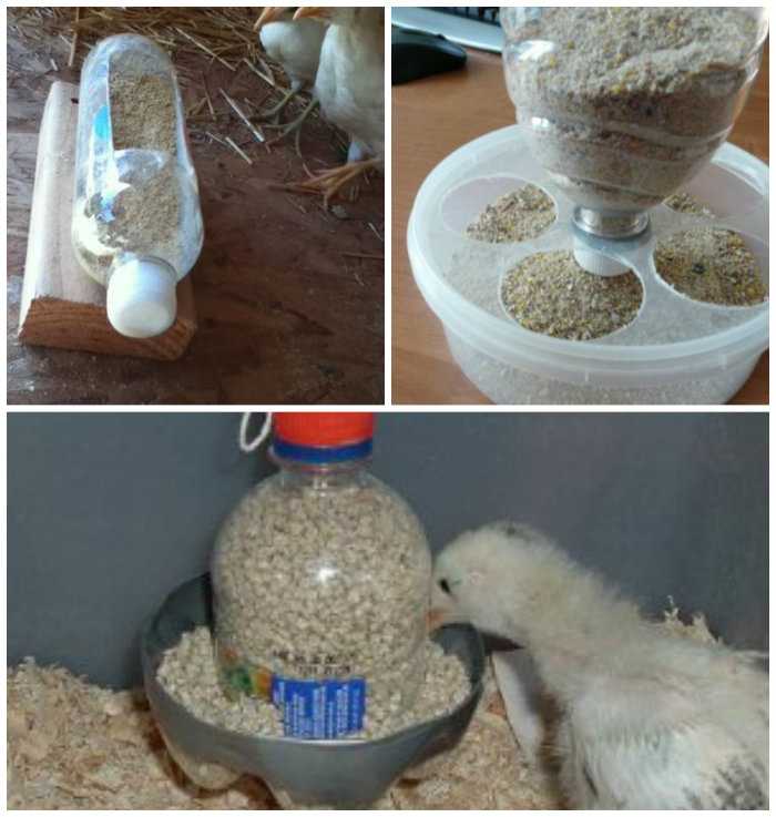 Кормушка для кур из канализационной трубы – простое и удобное решение для кормления птицы