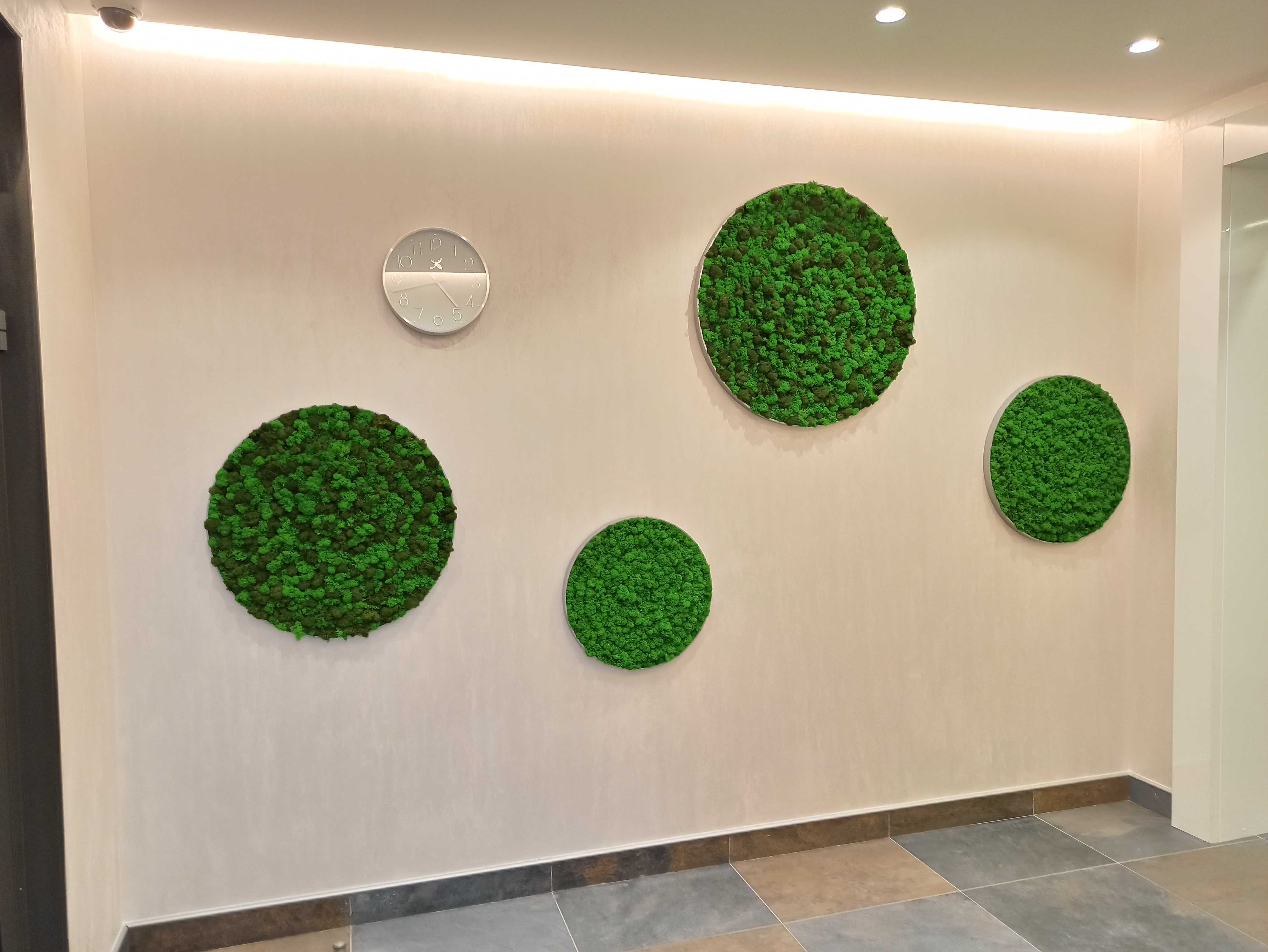 Декоративный стабилизированный и живой мох в интерьере: панно, стены из декоративного цветущего мха